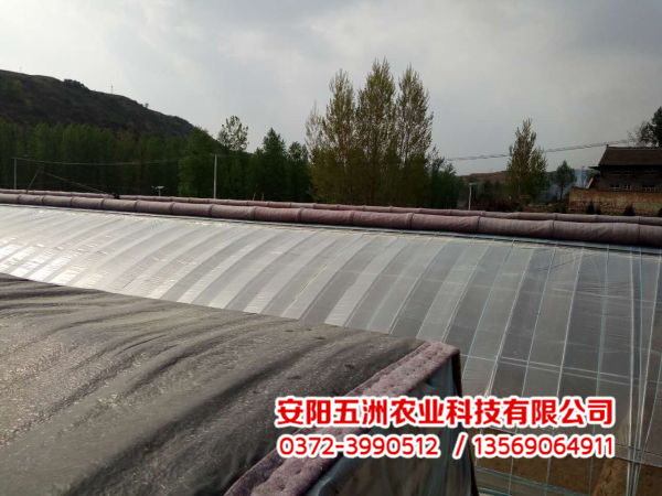 溫室大棚 溫室大棚